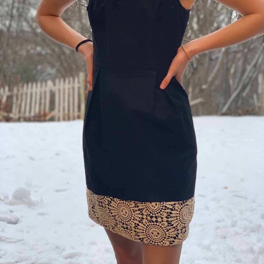 Ann Taylor Formal zip up dress